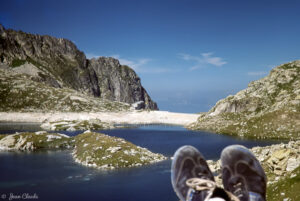 Truite en lac de haute montagne