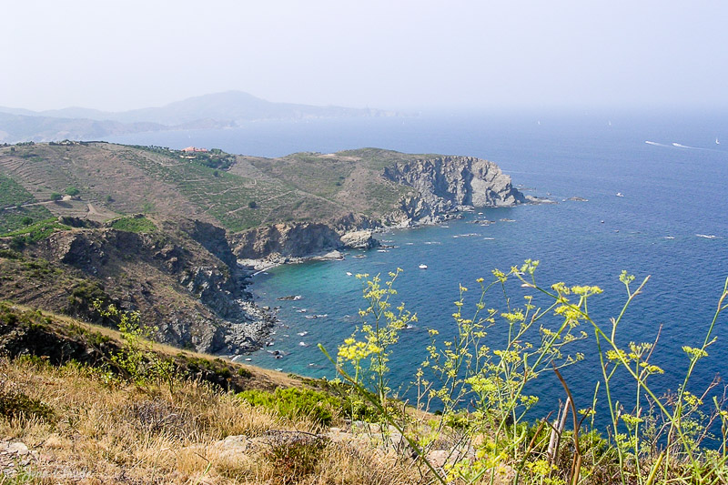 Cap de l'Abeille, 2003