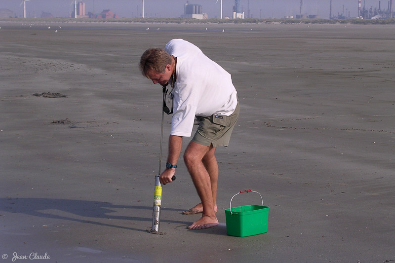 Pêcheur de vers en action , 2003