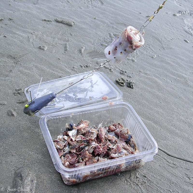 Sardines hachées - Surfcasting sur la plage du Clipon, 2004