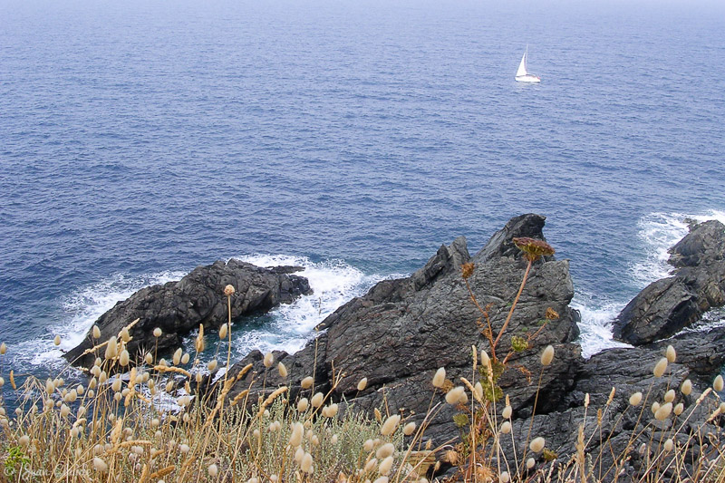 Le cap Cerbère vu par la route, 2004