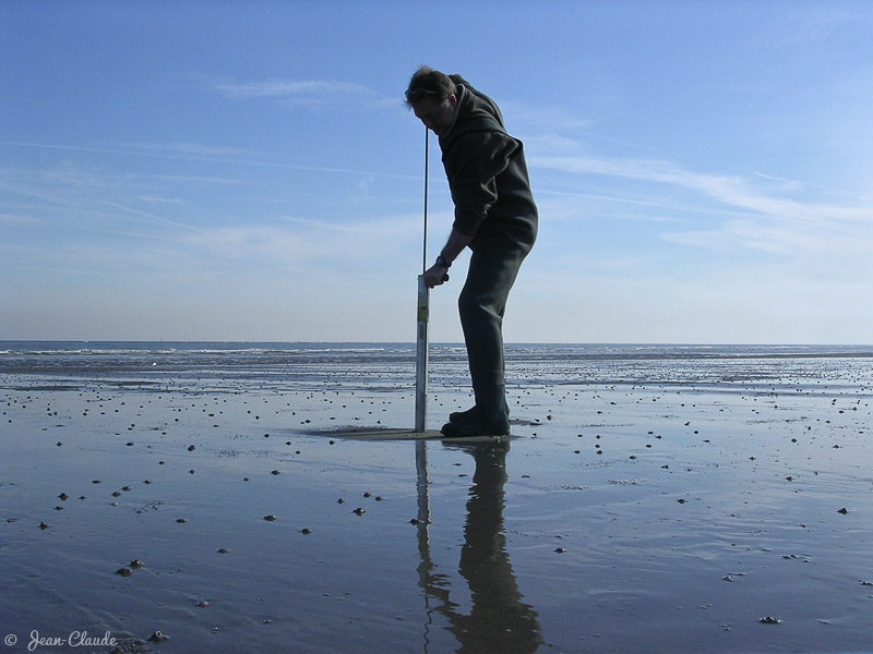 Pêcheur de vers marins sur la plage du Clipon, 2007