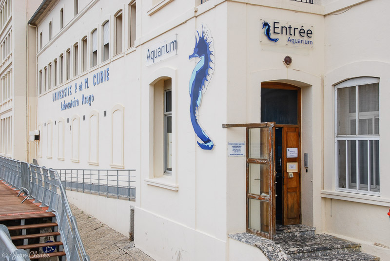Entrée à l'aquarium public de Banyuls-sur-Mer, 2009