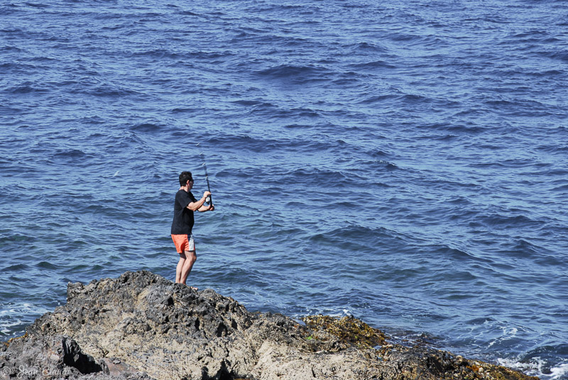 Pêcheur sur un rocher de schistes à l’extrémité de l’anse de Collioure, 2009
