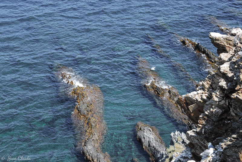 La Côte rocheuse des Pyrénées-Orientales, 2003