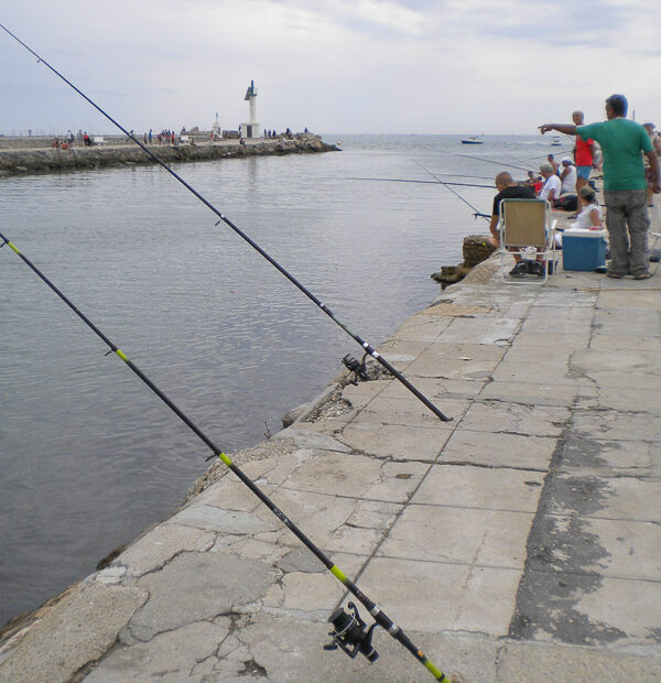 La pêche à l'entrée du port du Grau-du-Roi, 2010