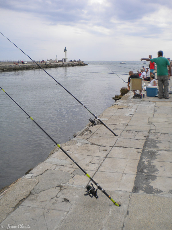 La pêche à l'entrée du port du Grau-du-Roi, 2010