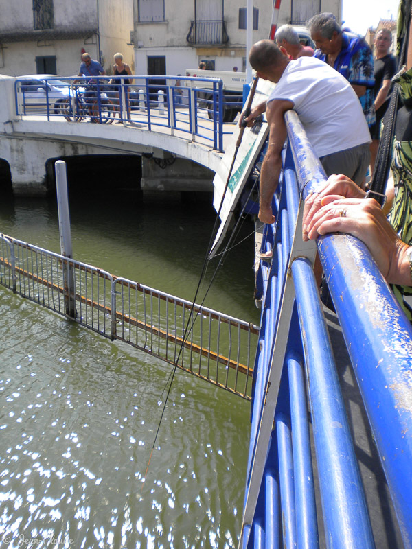 Pêche au pont mobile du Grau-du-Roi, 2010