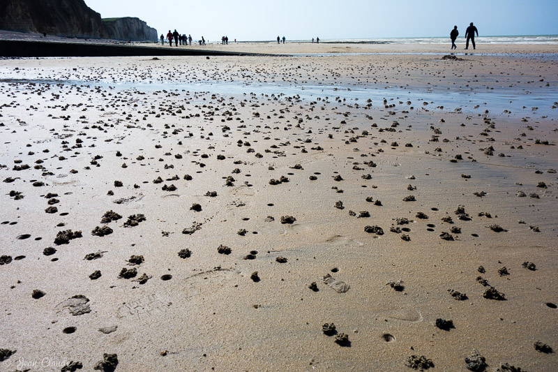 Le long de la plage de Quiberville-sur-Mer, 2016