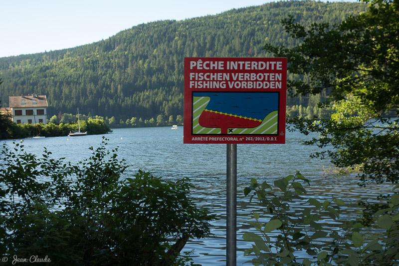 Pêche interdite au fond du lac, rive Sud. - Gérardmer, 2017