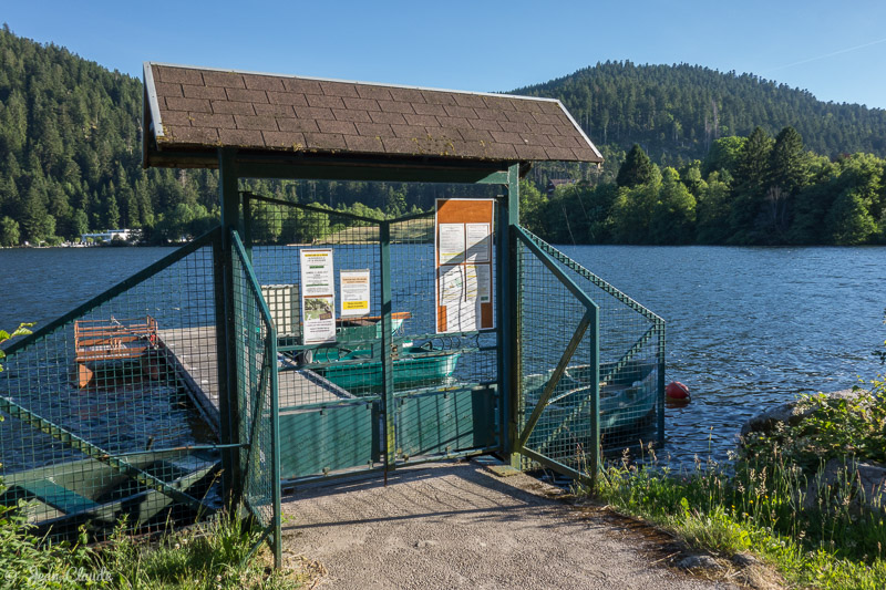 Ponton des pêcheurs, rive nord du lac. - Gérardmer, 2017
