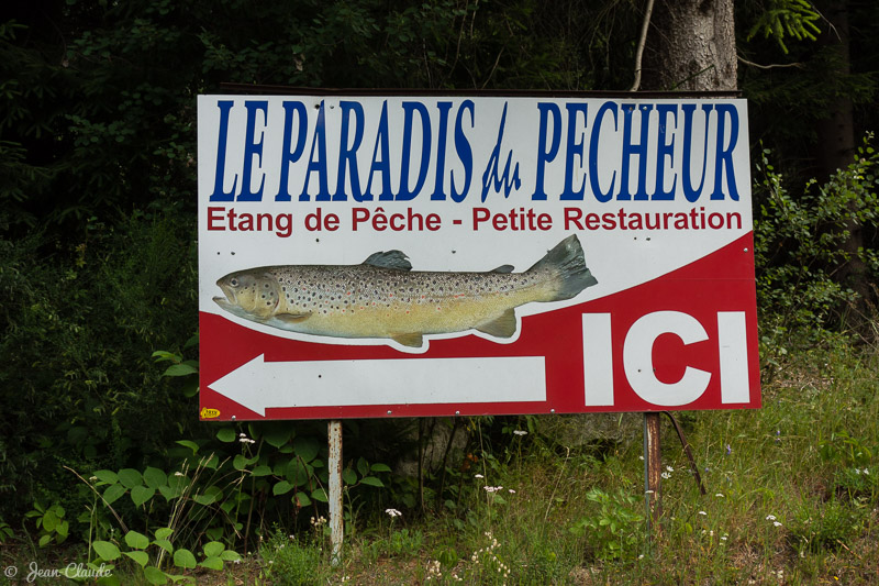 Etang de pêche privé. - Gérardmer, 2017