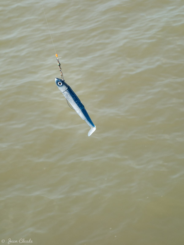 Leurre de pêche artificiel