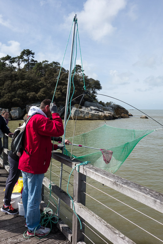 La pêche au carrelet sur l'estacade - Ile de Noirmoutier, 2018