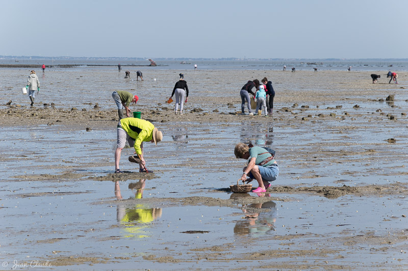 Pêche à pied à marée basse au Gois. - Ile de Noirmoutier, 2018