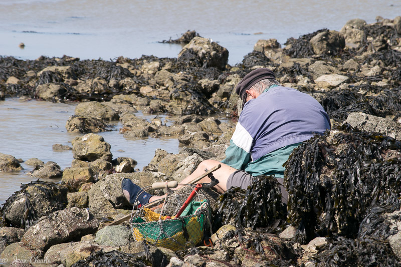 Pêcheur à pied au Gois. - Ile de Noirmoutier, 2018