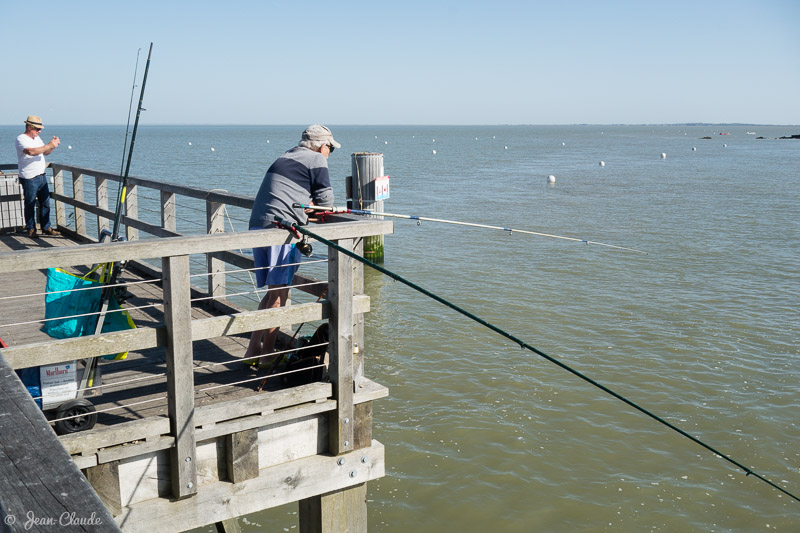 Pêche à l'estacade - Ile de Noirmoutier, 2018