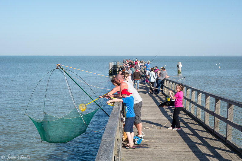 Pêche au carrelet à l'estacade - Ile de Noirmoutier, 2018