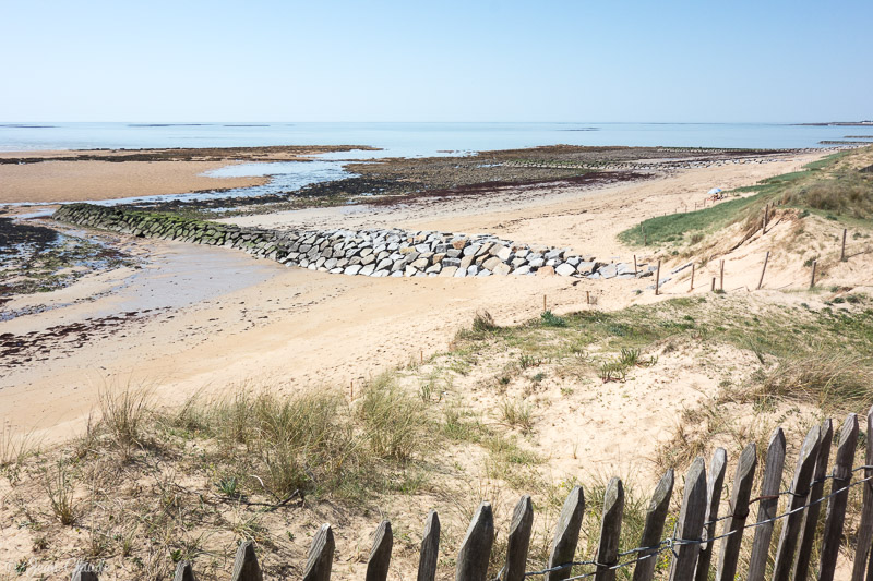 La plage le long du Bois des Éloux (Dunes de la Nourre). - Ile de Noirmoutier 2018
