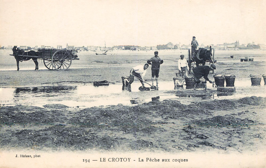 CPA 194- LE CROTOY - La pêche aux coques