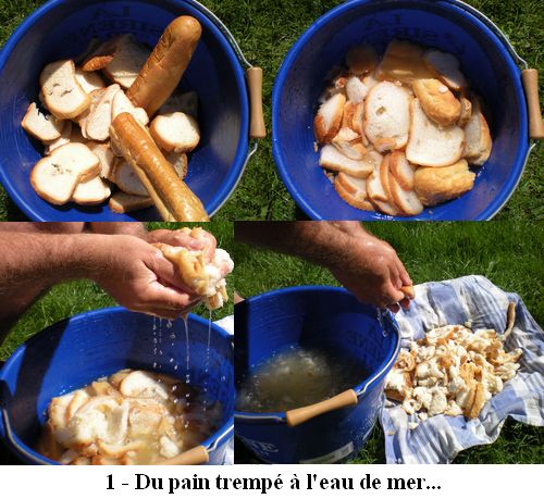 Du pain trempé à l'eau de mer