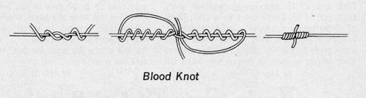 The blood-knot
