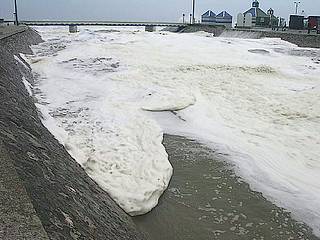 Efflorescence de Phaeocystis observée en avril 2002 à l’embouchure de la rivière Le Wimereux à marée montante - Photo N. Cuvelier - Ifremer