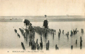 16- BERCK-PLAGE. - Parc aux moules. -LL.
