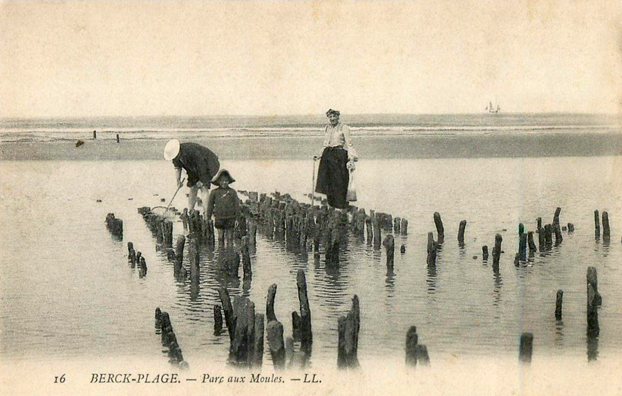 16- BERCK-PLAGE. - Parc aux moules. -LL.