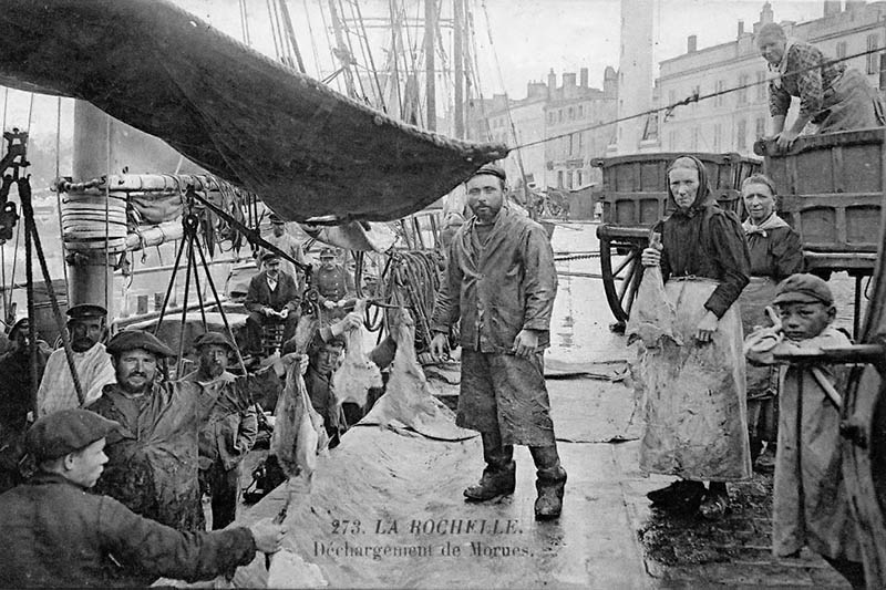 273 . La Rochelle - Déchargement de morues.