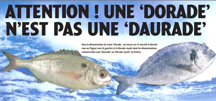 Dorade ou daurade ?