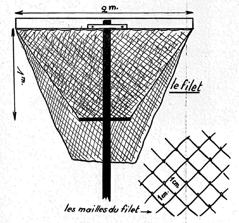 Fig 1 - Pousseux en T