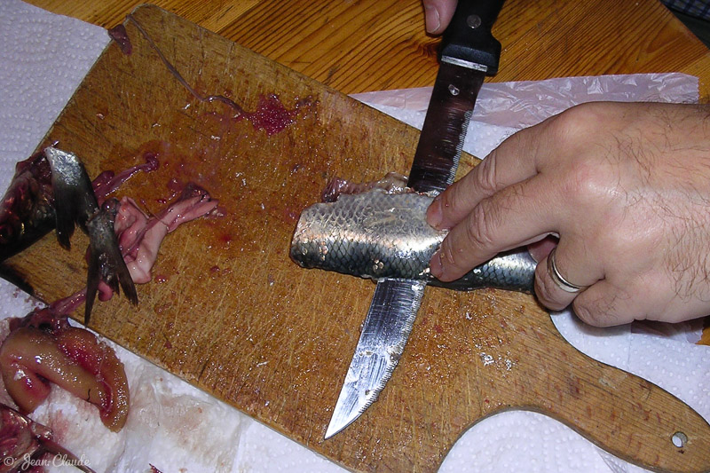 1 - Vider et couper le hareng