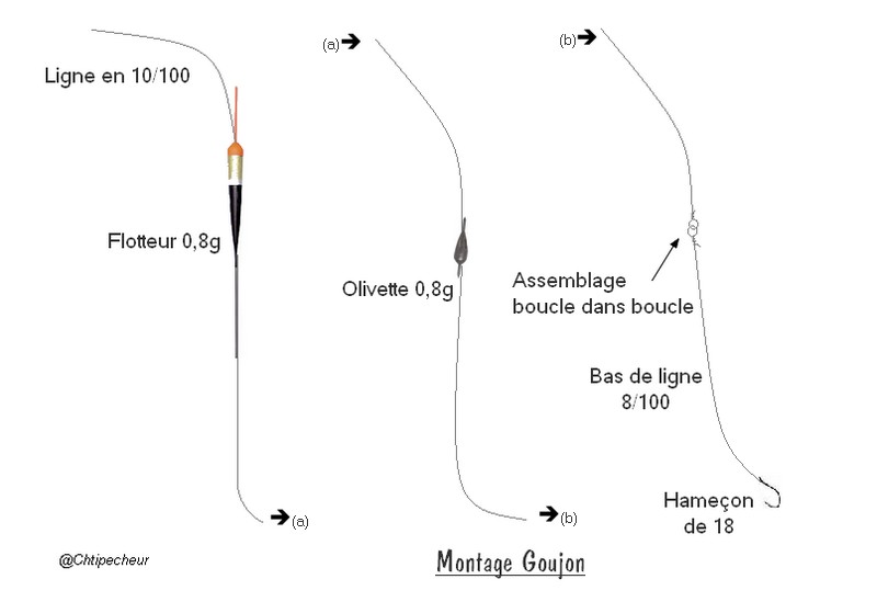 Ligne de pêche pour le goujon