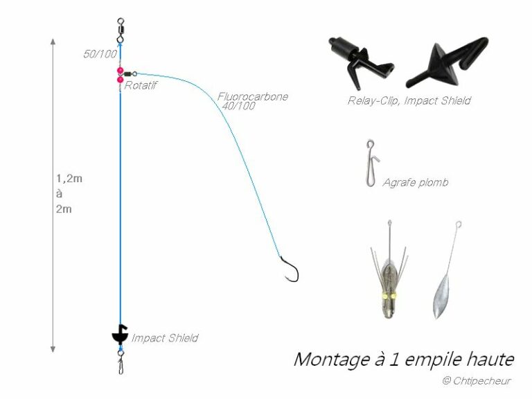 Comment pêcher le bar en surfcasting