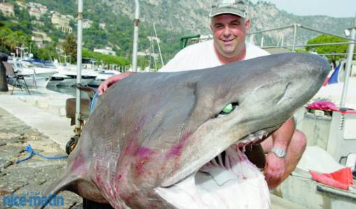 Jean-Marc Magliona et sa « bête » de 270 kg pêchée à la palangre dans les profondeurs de Beaulieu-sur-Mer photographie nicematin.com.