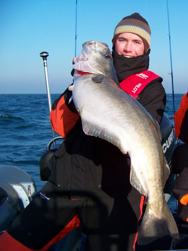 pollack 9,8kg - Lieu jaune record de France 2009