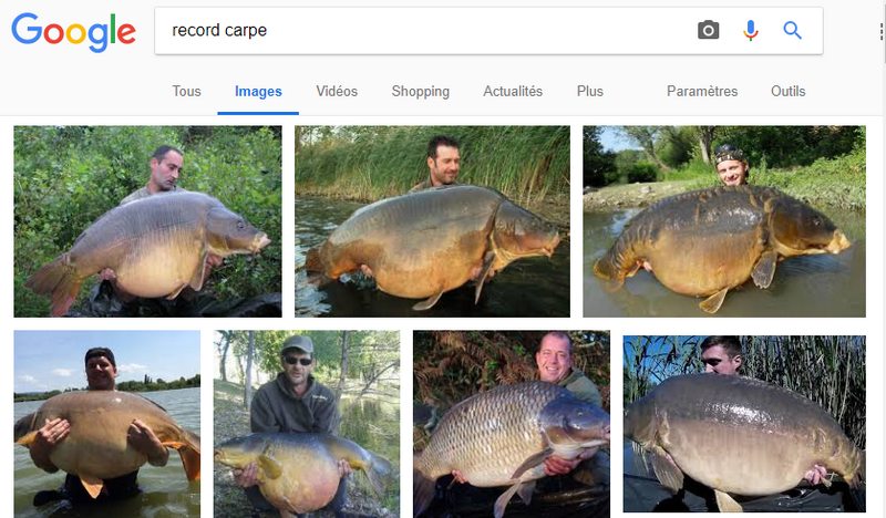 seachGoogle Record Carpe