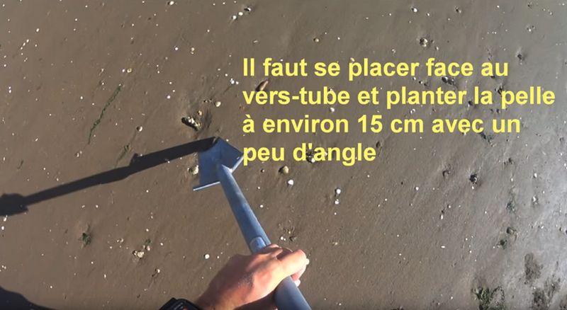 Planter la pelle à environ 15 cm du ver à tube (image extraite d’une vidéo Youtube)