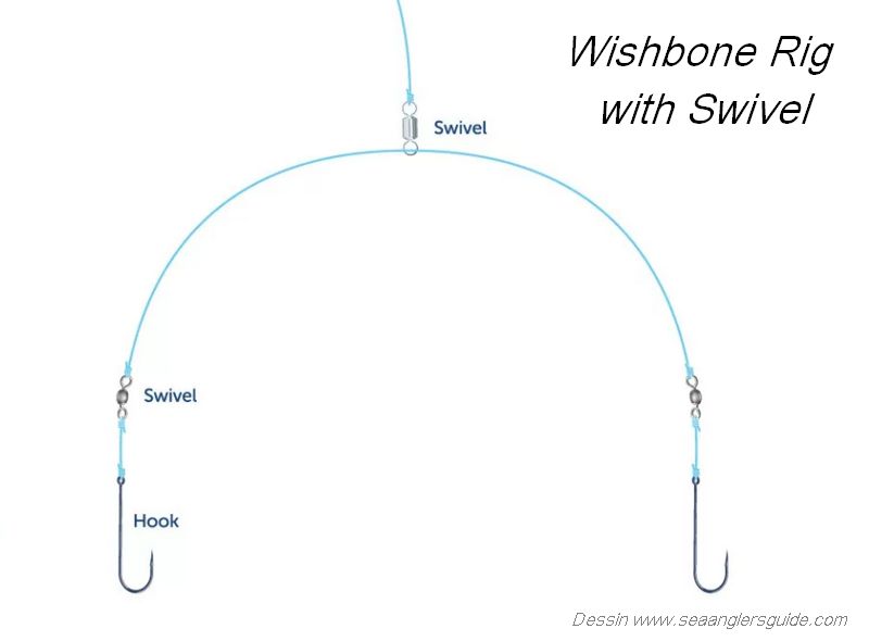 wishbone avec émerillon - www.seaanglersguide.com