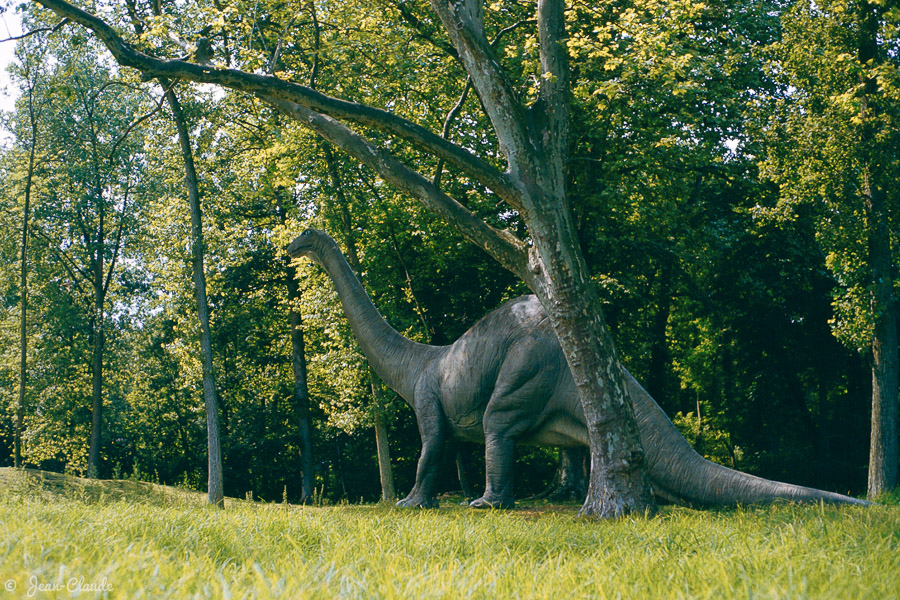 Dinosaure brontosaure dans le parc, 1982