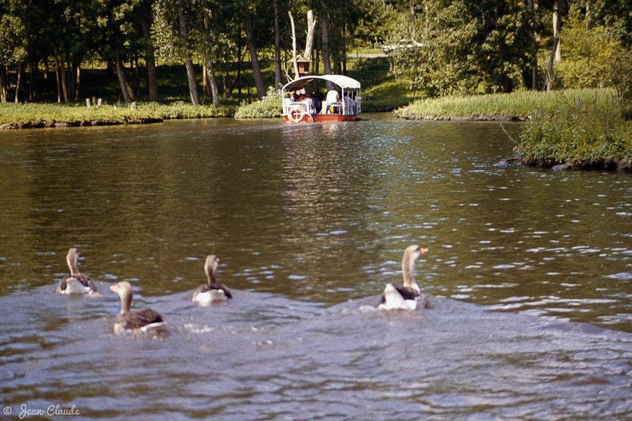 Le bateau safari du parc de Saint-Vrain, 1982