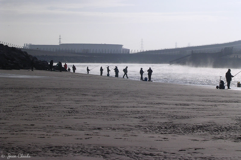 La sortie des eaux chaudes. Gravelines, 2005