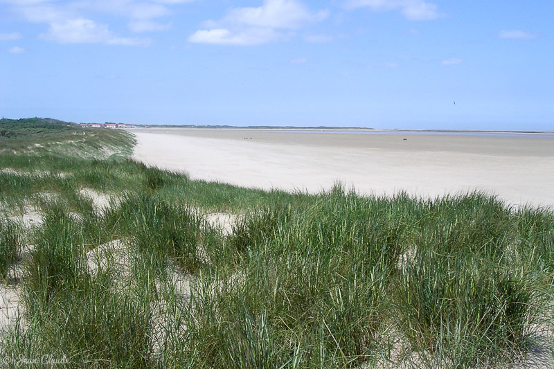 Plage entre la centrale nucléaire et Gravelines, 2005