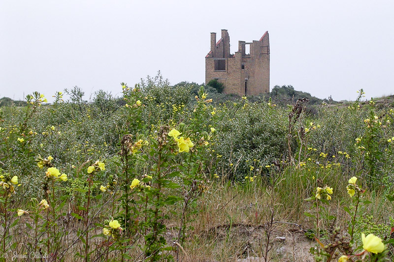 Maison du pendu (ce qu’il restait du village du Clipon), 2005