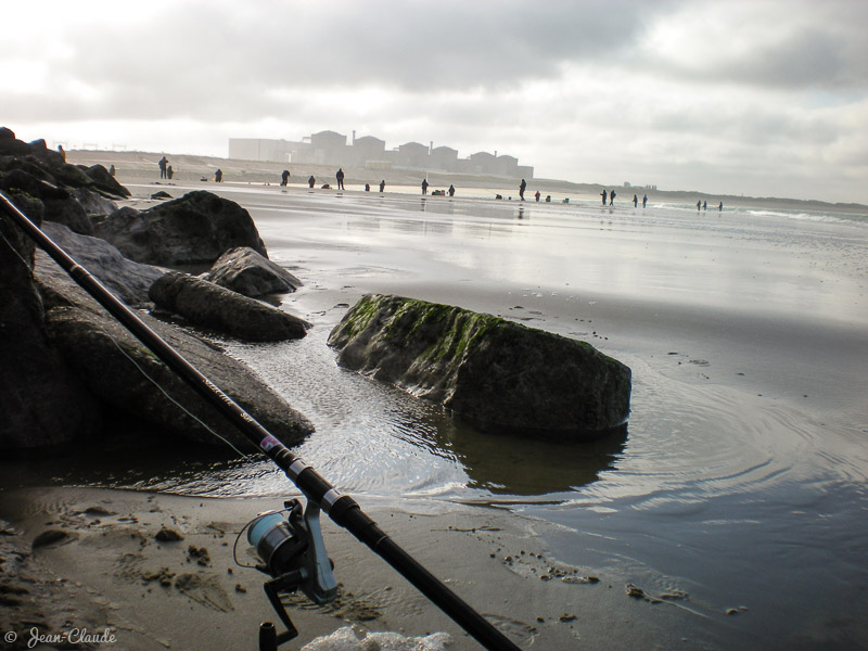 La sortie des eaux chaudes à la centrale nucléaire de Gravelines, 2008