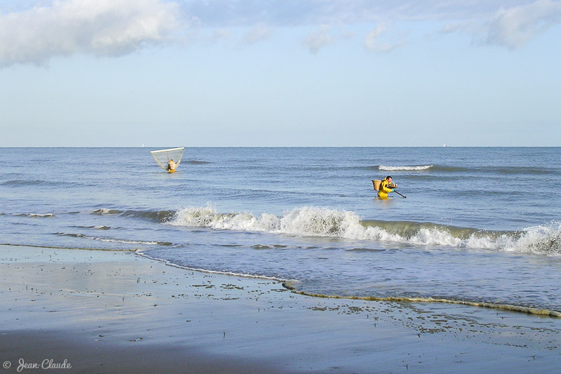 Pêcheurs de crevettes sur la plage des Escardines. - Oye-plage, 2009