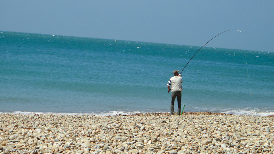 Pêche sur la plage d'Audresselles, 2011