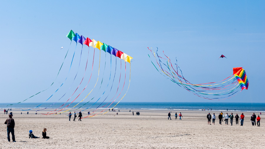 Démonstration en équipe . - Les cerfs-volants de Berck-sur-mer, 2013