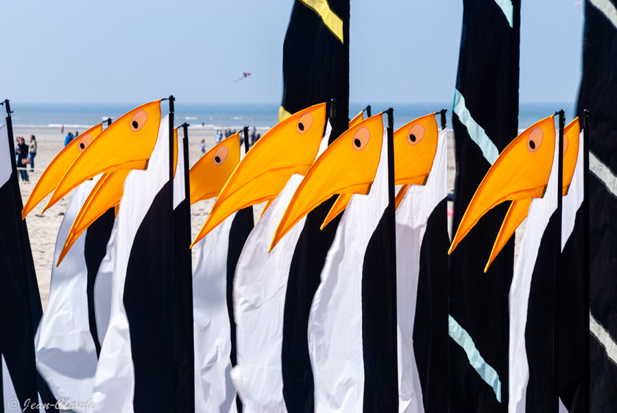 Sur la plage . - Berck-sur-mer, 2013